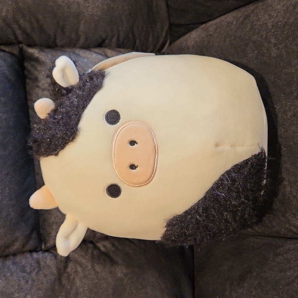 NWT Fuzzy Connor Squishmallow